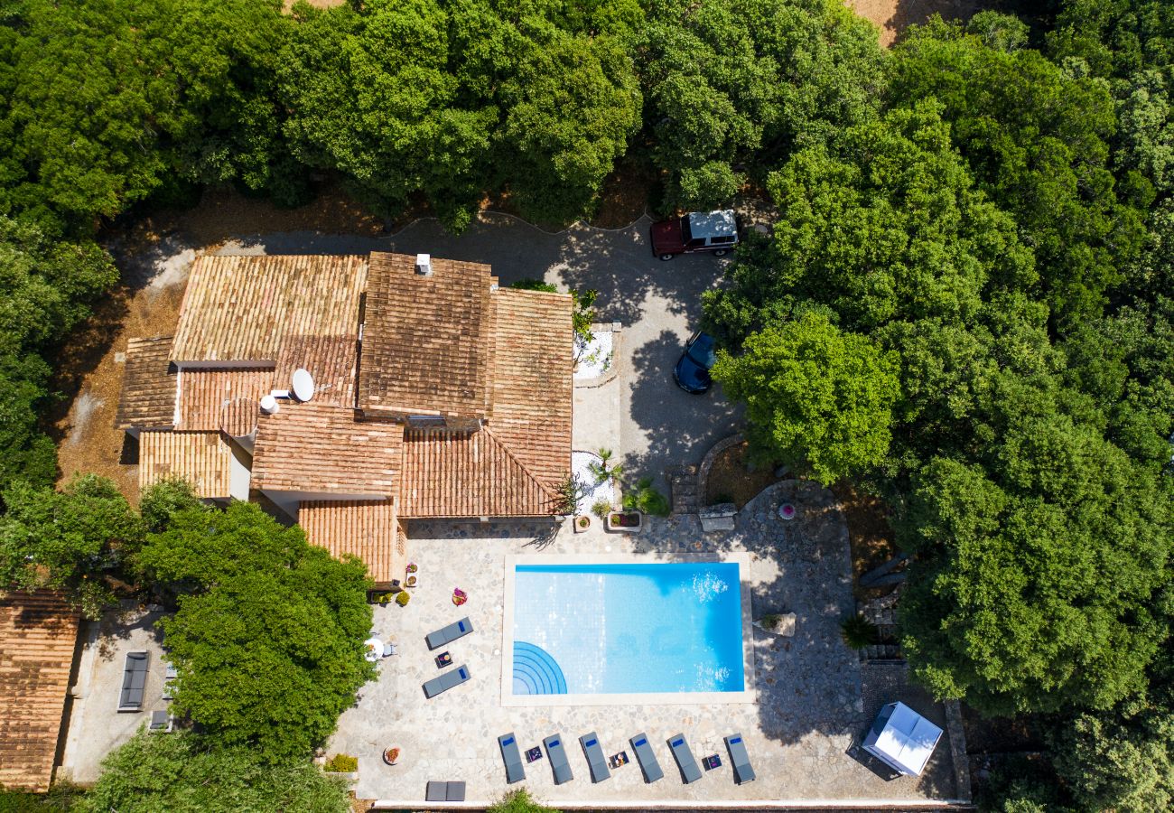 Villa in Pollensa - ENCINAS. Spectacular recently renovated villa