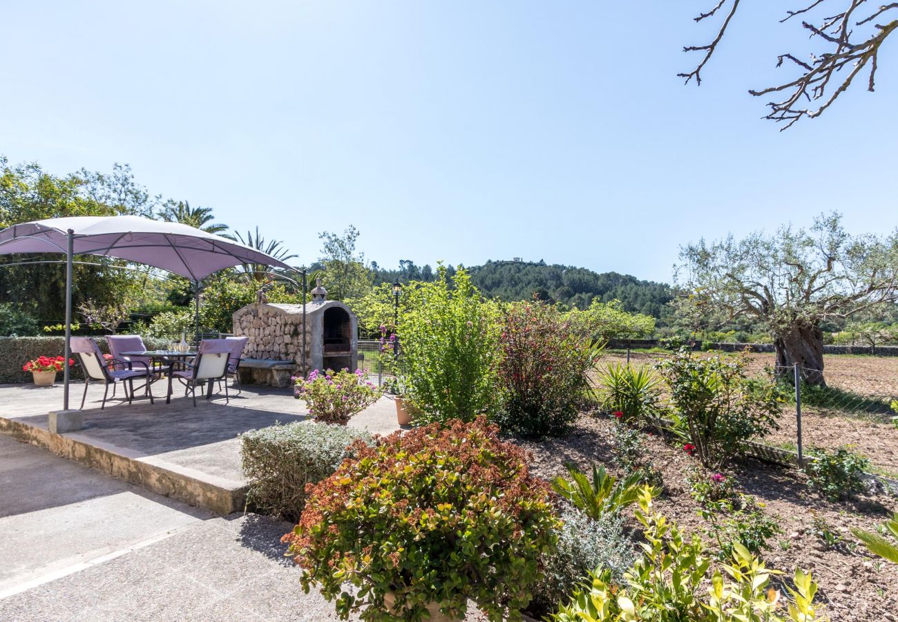 Villa in Pollensa - CATALINA PETIT. Cozy and friendly