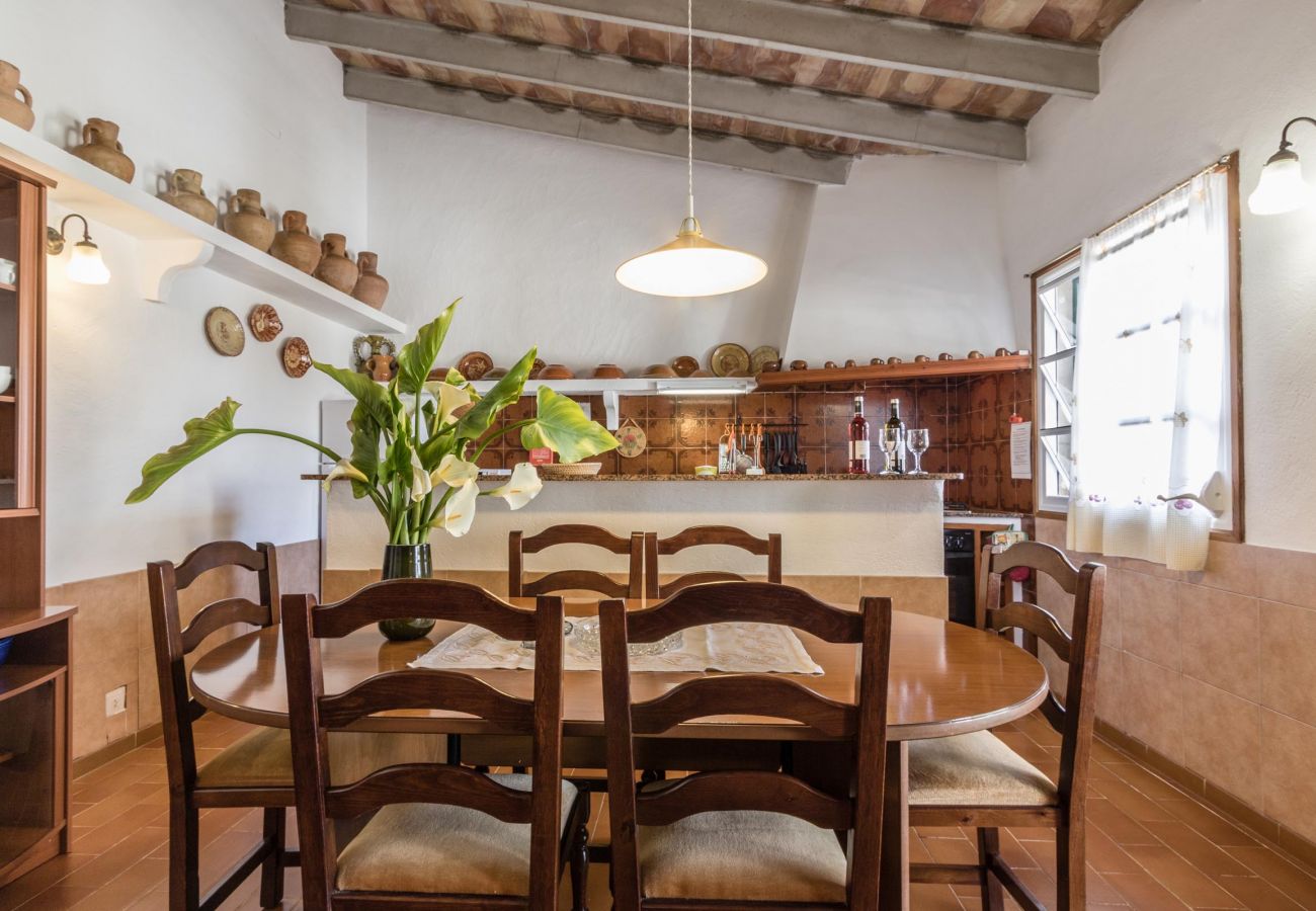 Villa in Pollensa - CATALINA PETIT. Cozy and friendly