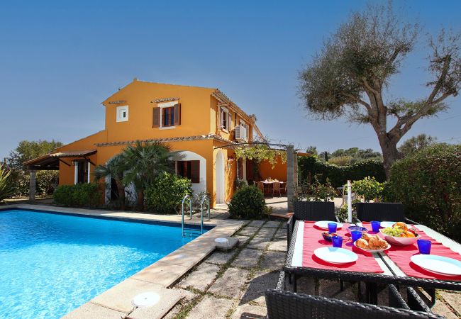 Villa in Pollensa - CA NA CATALINA (MARINA NOVA). A garden and pool that will delight young and old Villa in Pollensa - CA NA CATALINA (MARINA NOVA). A garden and pool that will delight young and old