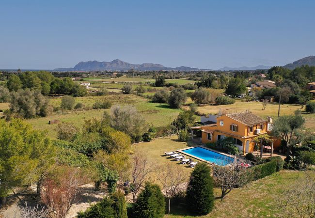 Villa in Pollensa - MARINA NOVA. A garden and pool that will delight young and old