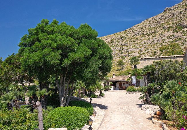 Villa in Puerto Pollensa - BOQUER PETIT ( PIEDRA ). Surrounded by nature, but close to Pto. Pollensa Villa in Puerto Pollensa - BOQUER PETIT ( PIEDRA ). Surrounded by nature, but close to Pto. Pollensa