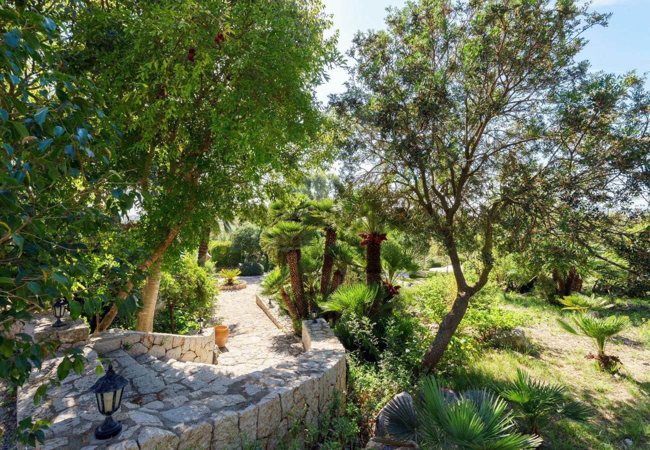 Villa in Puerto Pollensa - PIEDRA. Surrounded by nature, but close to Pto. Pollensa