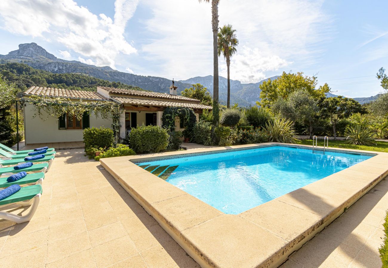 Villa in Pollensa - PLANA. Fantastic villa in a very quiet area