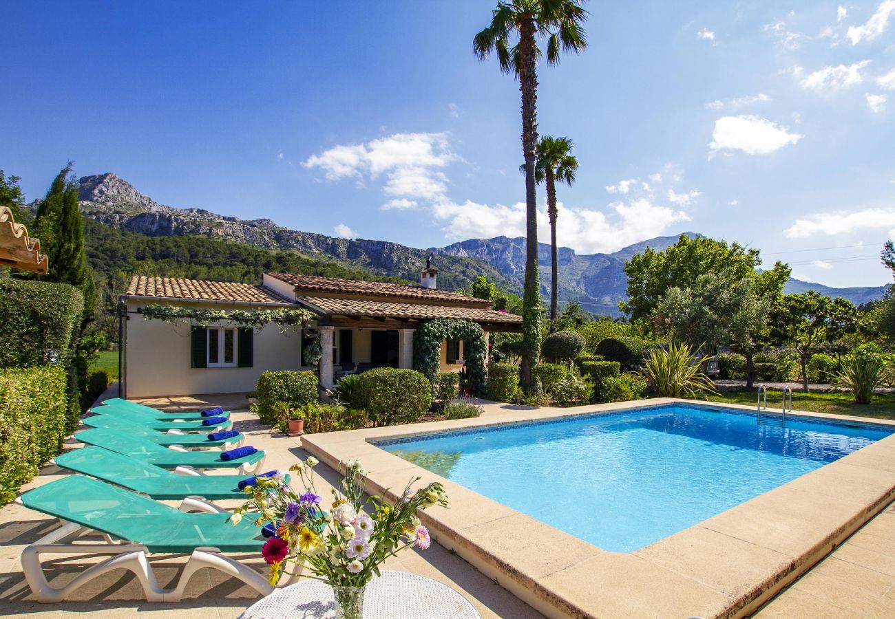 Villa in Pollensa - PLANA. Fantastic villa in a very quiet area