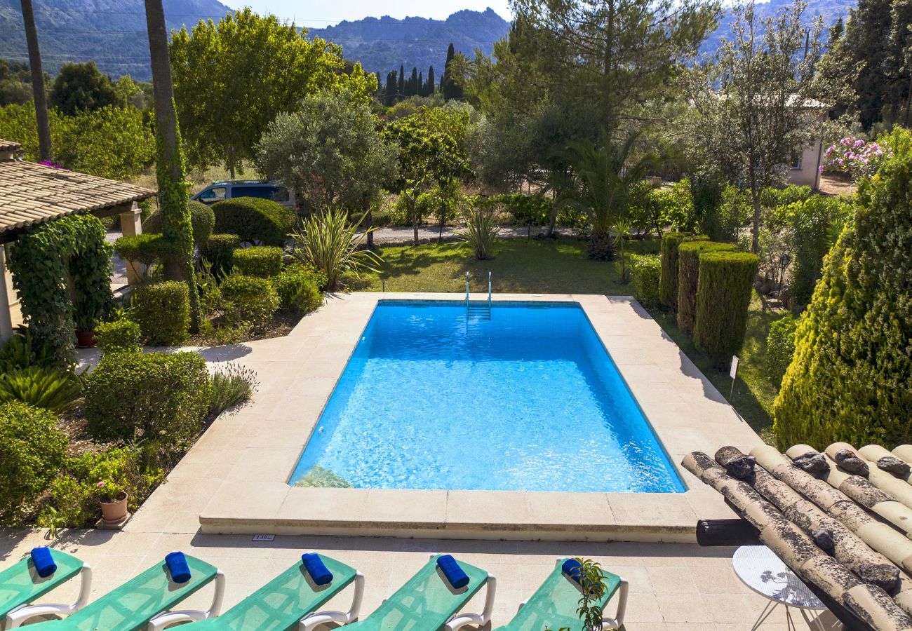 Villa in Pollensa - PLANA. Fantastic villa in a very quiet area