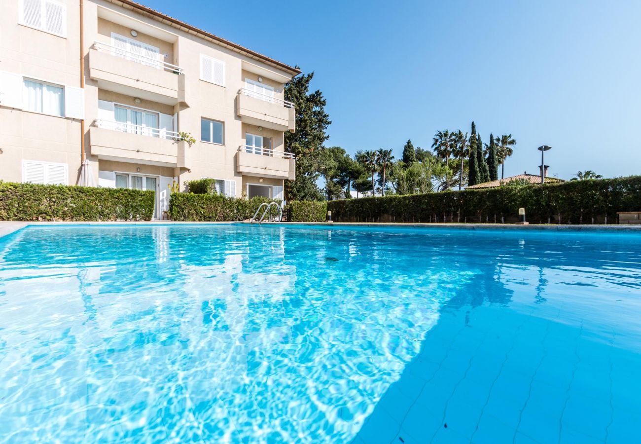 Apartment in Puerto Pollensa - XIPRER. 2 bedroom apartment in Puerto Pollensa