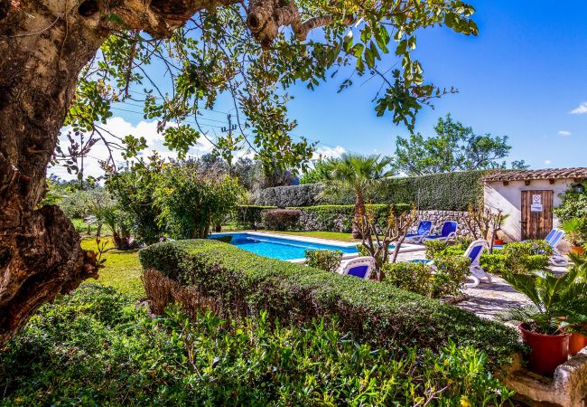 Villa in Pollensa - MARTORELL. 3 bedroom villa near Pollensa Villa in Pollensa - MARTORELL. 3 bedroom villa near Pollensa