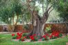 Villa in Pollensa - JOAN. Charming villa with a fabulous garden