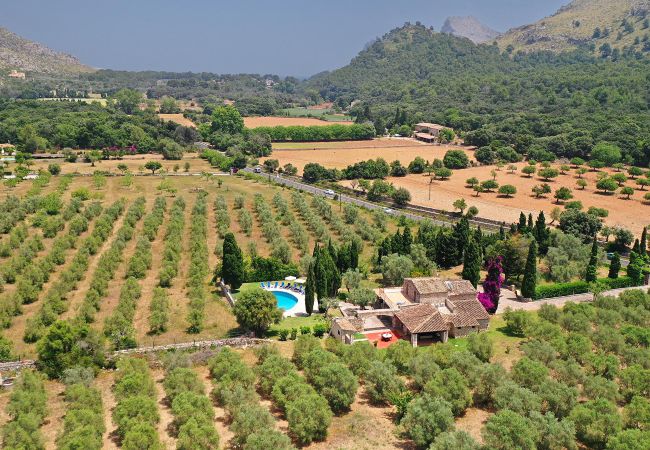 Villa in Cala San Vicente - MARTORELLET. Delightful villa close to Cala San Vicente Villa in Cala San Vicente - MARTORELLET. Delightful villa close to Cala San Vicente