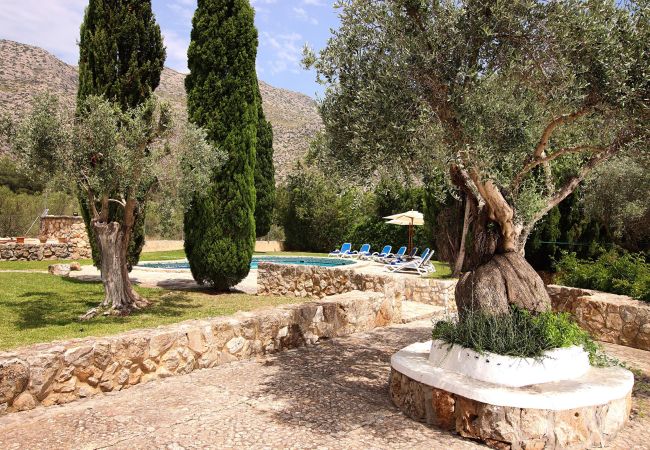 Villa in Cala San Vicente - MARTORELLET. Delightful villa close to Cala San Vicente Villa in Cala San Vicente - MARTORELLET. Delightful villa close to Cala San Vicente