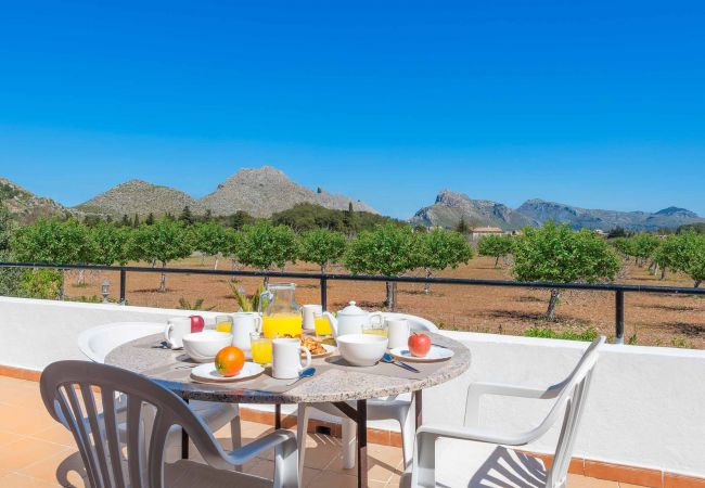 Villa in Puerto Pollensa - PALMERA. 6 bedroom villa a very short drive to Pto. Pollensa Villa in Puerto Pollensa - PALMERA. 6 bedroom villa a very short drive to Pto. Pollensa