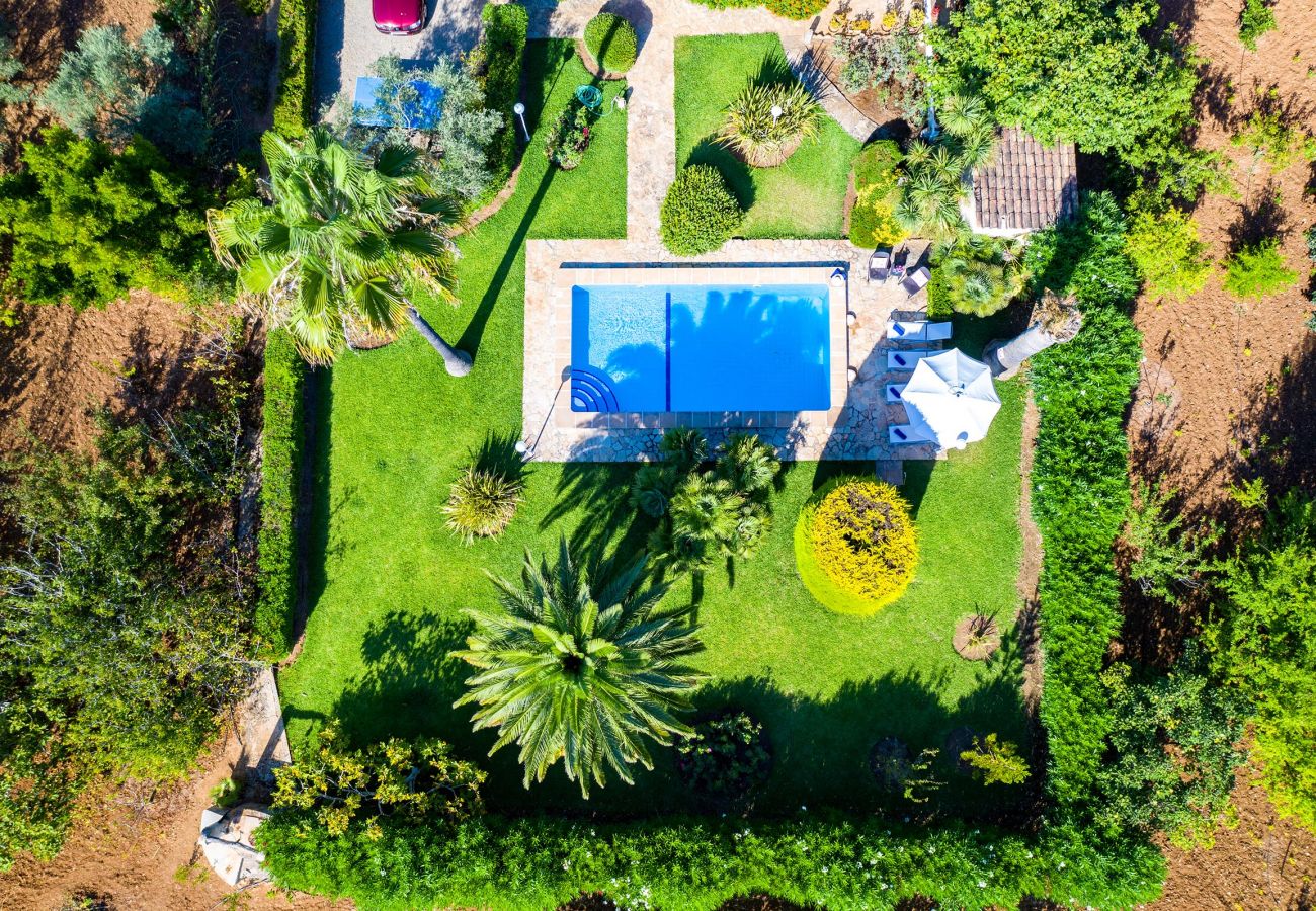 Villa in Pollensa - MORENO. Fabulous garden, memorable holidays
