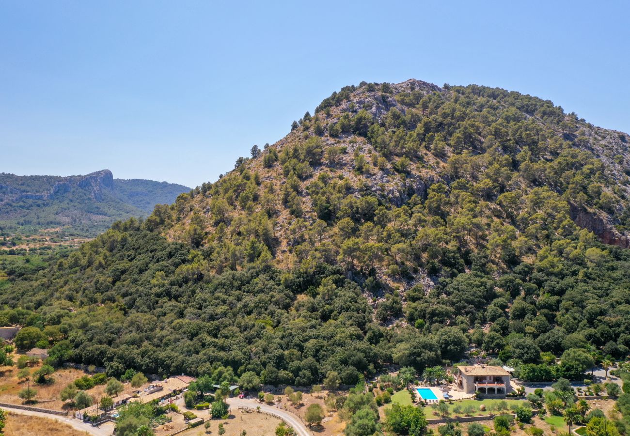 Villa in Pollensa - PLOMERA - You will love it