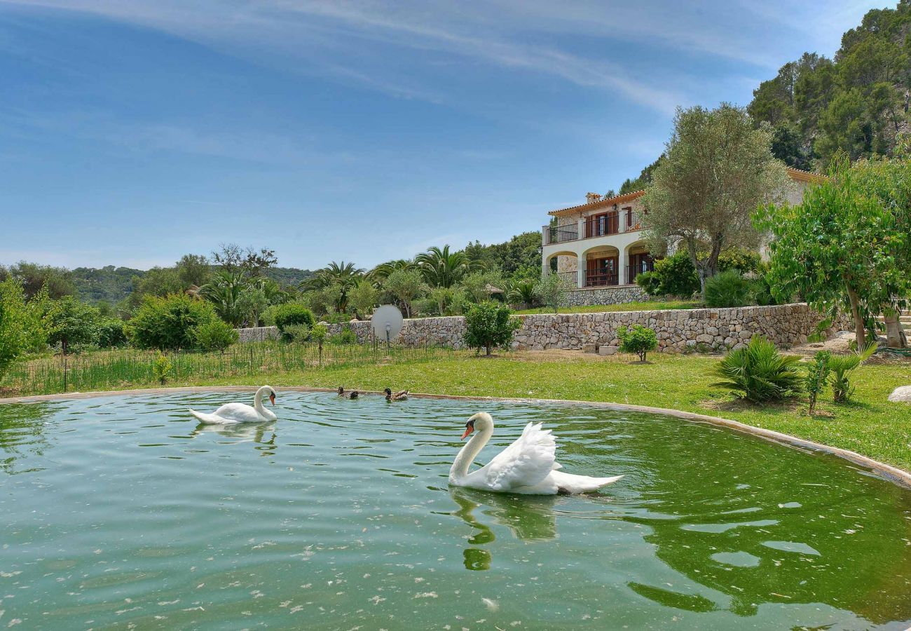 Villa in Pollensa - PLOMERA - You will love it