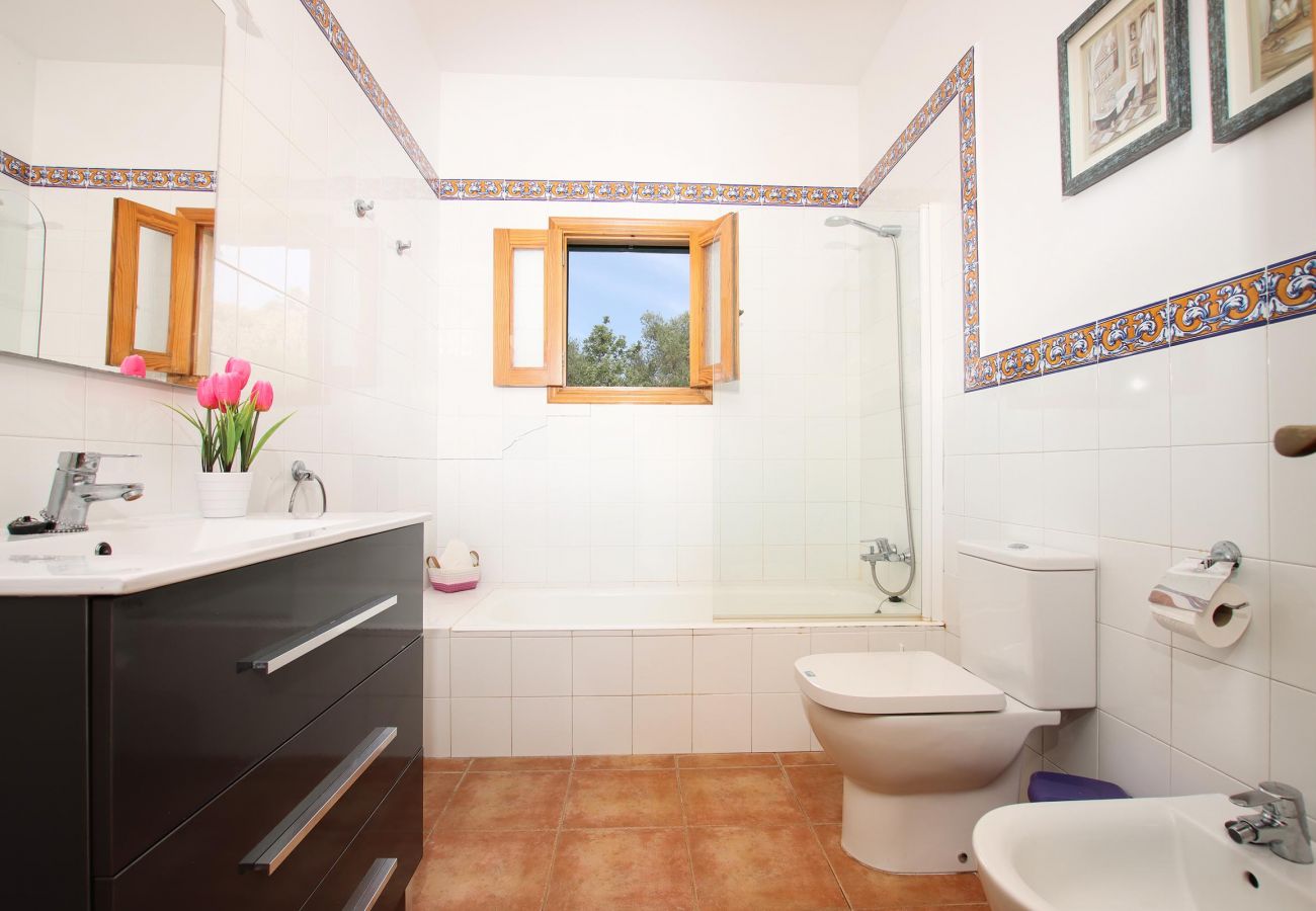 Villa in Pollensa - PUNTA COLET. Large pool and spacious garden for endless fun