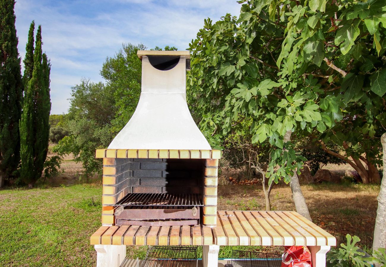 Villa in Pollensa - PUNTA COLET. Large pool and spacious garden for endless fun