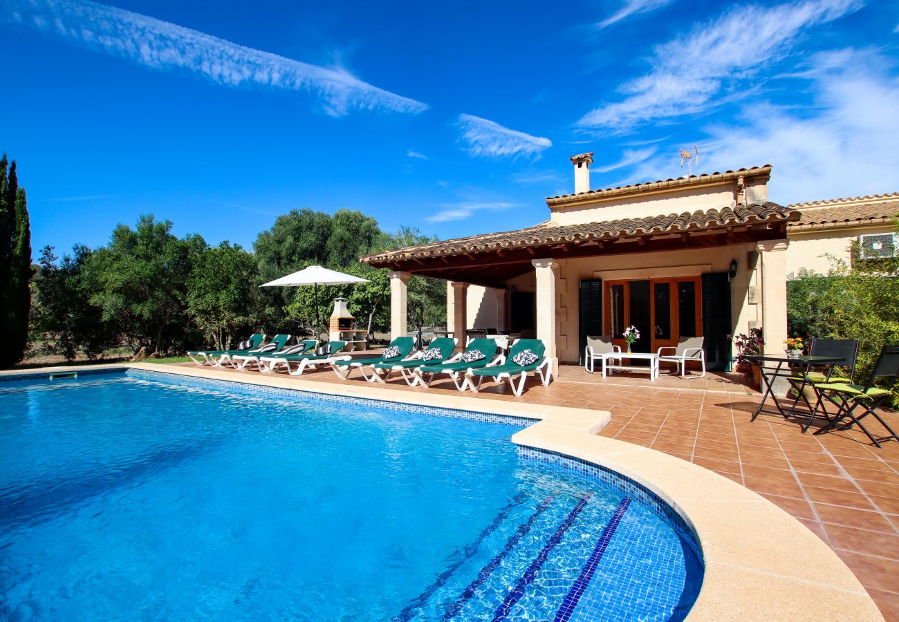 Villa in Pollensa - PUNTA COLET. Large pool and spacious garden for endless fun