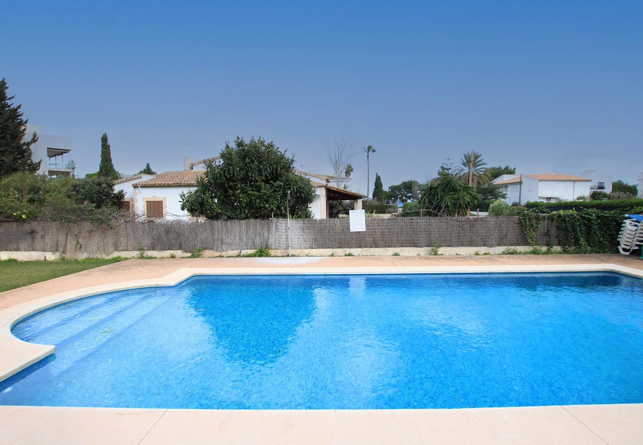 Apartment in Port de Pollença - Apartment in Port Pollensa